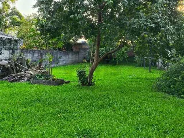 Terreno venda em Argentina, Criciúma