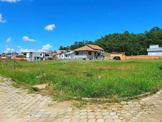 Terreno venda em Região Geográfica Imediata de Criciúma, Criciúma
