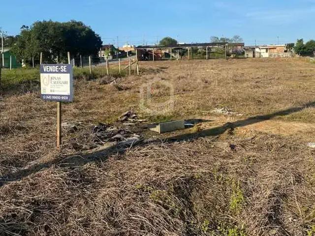 Terreno venda em Região Geográfica Imediata de Criciúma, Criciúma
