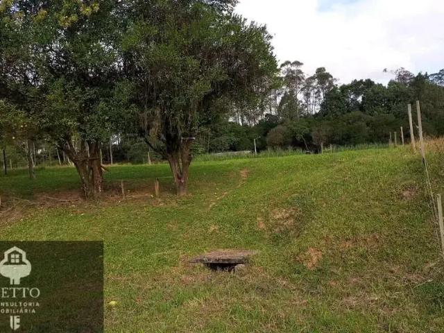 Terreno venda em Região Geográfica Imediata de Criciúma, Criciúma