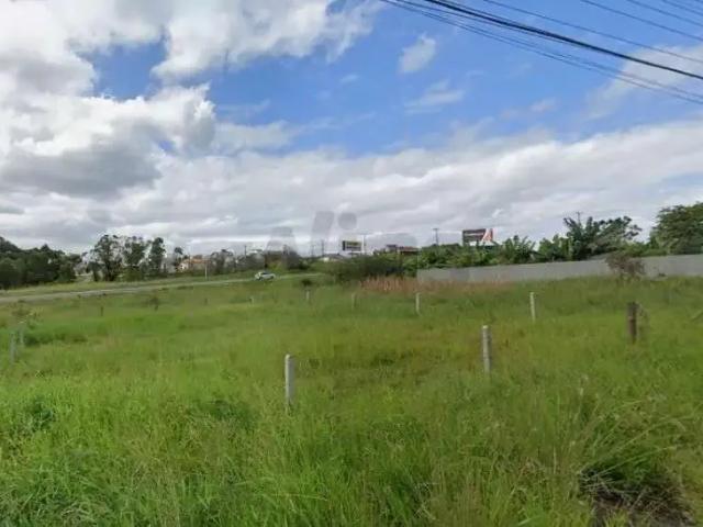 Terreno venda em Região Geográfica Imediata de Criciúma, Criciúma