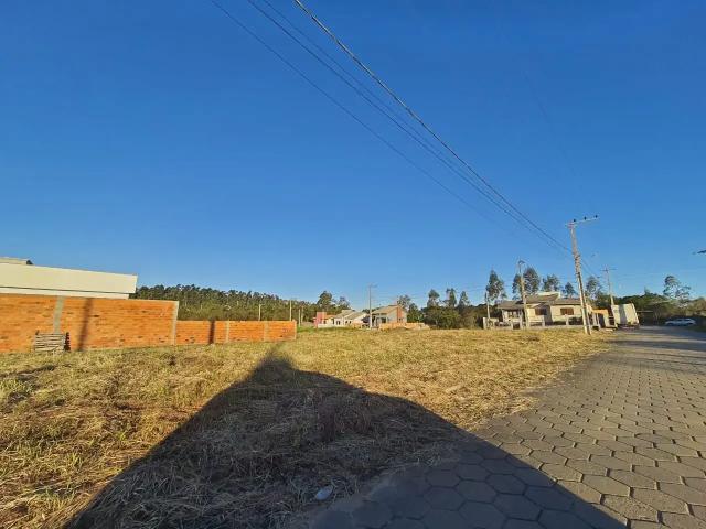 Terreno venda em Região Geográfica Imediata de Criciúma, Criciúma