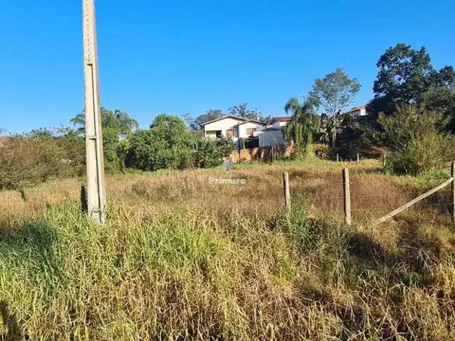 Terreno venda em Região Geográfica Imediata de Criciúma, Criciúma