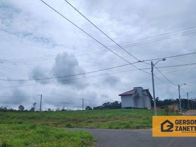 Terreno venda em Região Geográfica Imediata de Criciúma, Criciúma