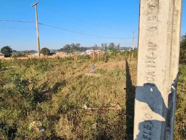 Terreno venda em Região Geográfica Imediata de Criciúma, Criciúma