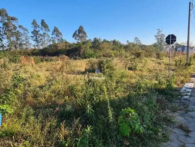 Terreno venda em Região Geográfica Imediata de Criciúma, Criciúma