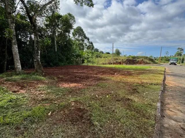 Terreno venda em Região Geográfica Imediata de Criciúma, Criciúma