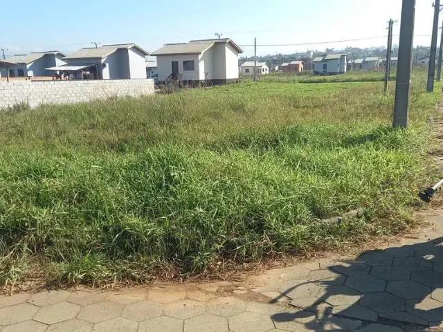 Terreno venda em Região Geográfica Imediata de Criciúma, Criciúma