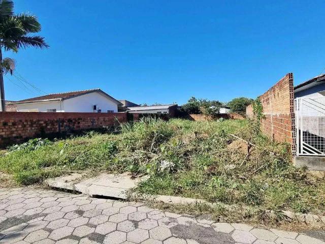 Terreno venda em Região Geográfica Imediata de Criciúma, Criciúma
