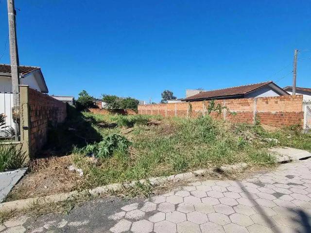 Terreno venda em Região Geográfica Imediata de Criciúma, Criciúma