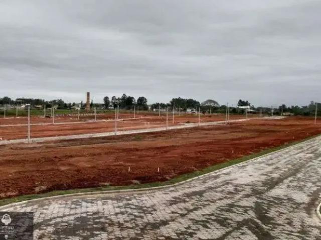 Terreno venda em Região Geográfica Imediata de Criciúma, Criciúma