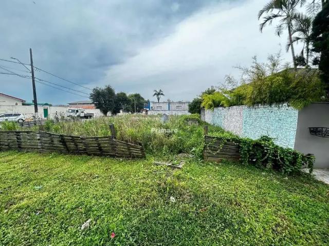Terreno venda em Região Geográfica Imediata de Criciúma, Criciúma