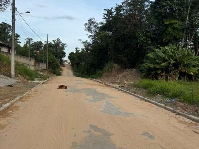 Terreno venda em Região Geográfica Imediata de Criciúma, Criciúma