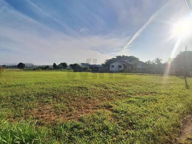 Terreno venda em Santa Augusta, Criciúma