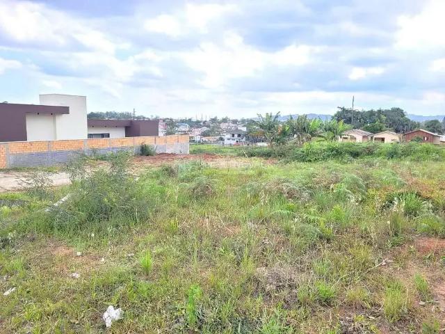 Terreno venda em Região Geográfica Imediata de Criciúma, Criciúma