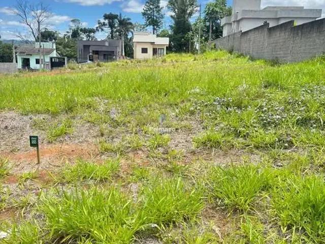 Terreno venda em Região Geográfica Imediata de Criciúma, Criciúma
