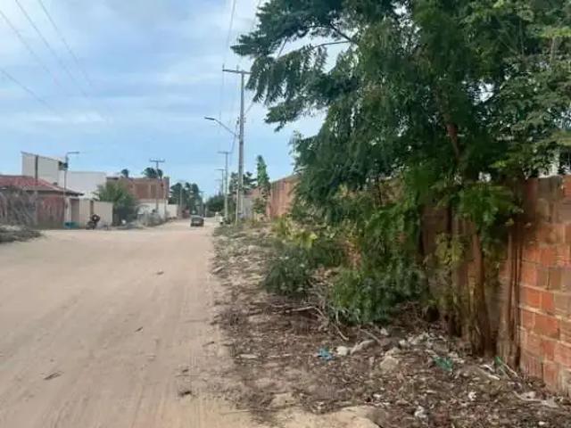 Terreno venda em Região Geográfica Imediata de Acaraú, Cruz