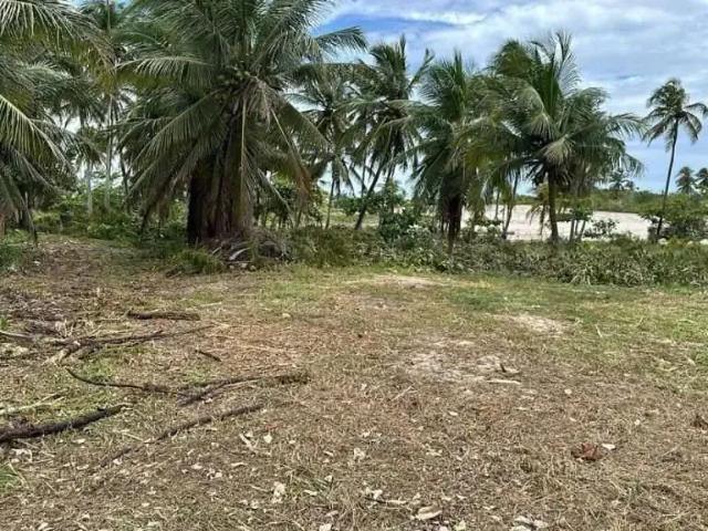 Terreno venda em Região Geográfica Imediata de Acaraú, Cruz