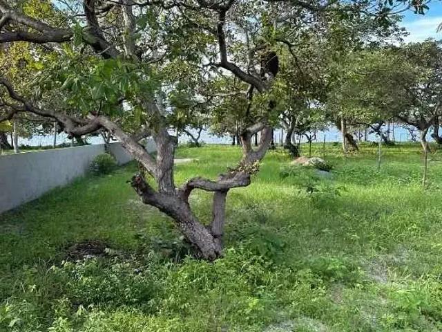 Terreno venda em Região Geográfica Imediata de Acaraú, Cruz