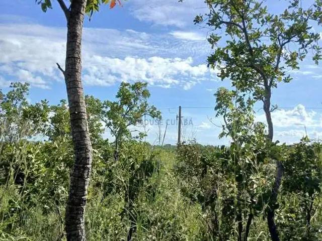 Terreno venda em Região Geográfica Imediata de Cuiabá, Região Metropolitana do Vale do Rio Cuiabá
