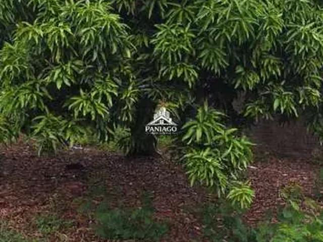 Terreno venda em Região Geográfica Imediata de Cuiabá, Região Metropolitana do Vale do Rio Cuiabá