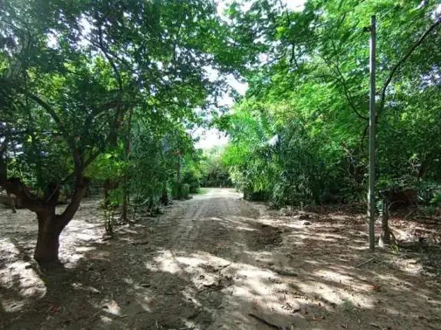 Terreno venda em Região Geográfica Imediata de Cuiabá, Região Metropolitana do Vale do Rio Cuiabá