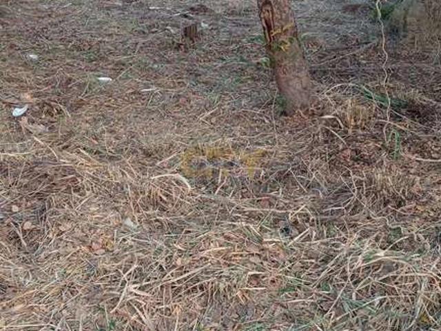 Terreno venda em Tropical Ville, Cuiabá