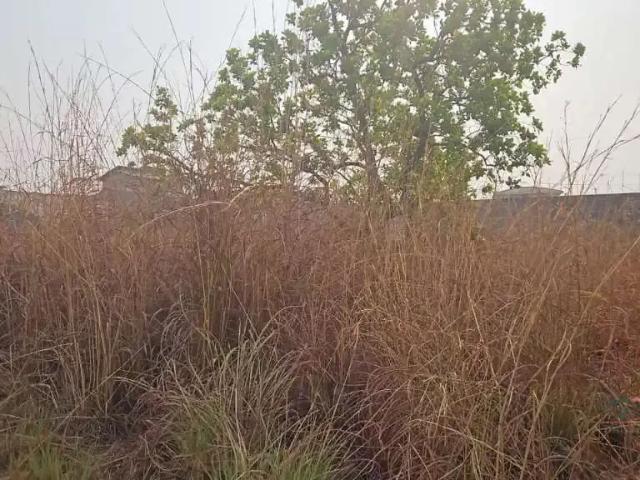 Terreno venda em Região Geográfica Imediata de Cuiabá, Região Metropolitana do Vale do Rio Cuiabá