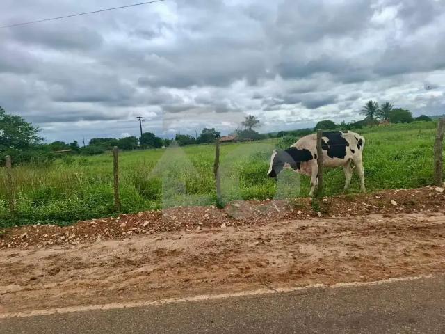 Terreno venda em Região Geográfica Imediata de Aracaju, Cumbe