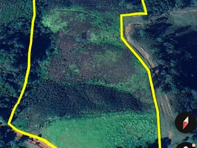 Terreno venda em Cunha