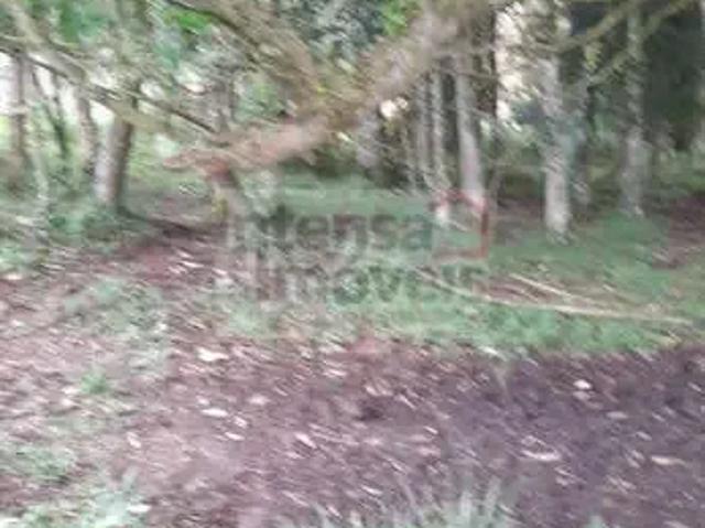 Terreno venda em Região Imediata de Guaratinguetá, Região Metropolitana do Vale do Paraíba e Litoral Norte