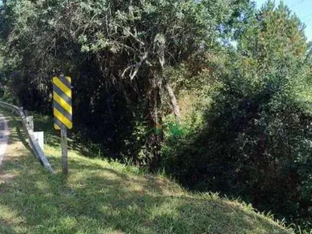 Terreno venda em Região Imediata de Guaratinguetá, Região Metropolitana do Vale do Paraíba e Litoral Norte
