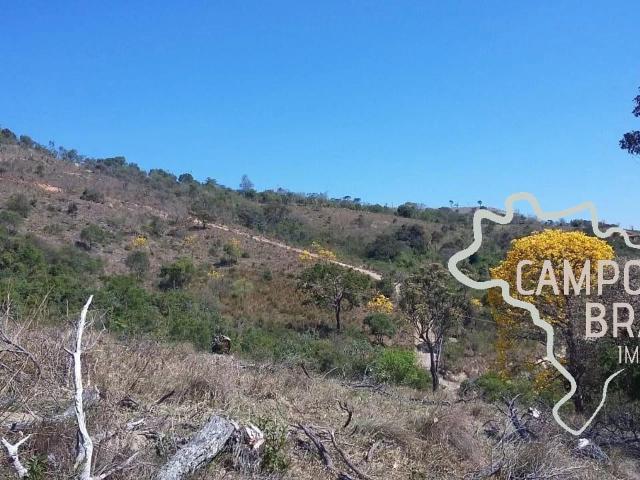 Terreno venda em Cunha