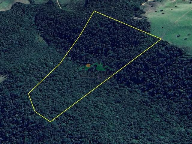 Terreno venda em Região Imediata de Guaratinguetá, Região Metropolitana do Vale do Paraíba e Litoral Norte