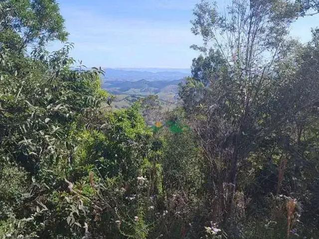 Terreno venda em Região Imediata de Guaratinguetá, Região Metropolitana do Vale do Paraíba e Litoral Norte