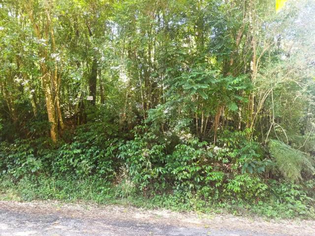 Terreno venda em Região Geográfica Imediata de Curitiba, Região Metropolitana de Curitiba