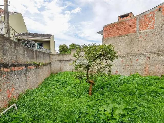 Terreno venda em Barreirinha, Curitiba
