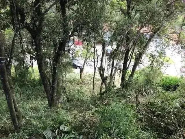 Terreno venda em Região Geográfica Imediata de Curitiba, Região Metropolitana de Curitiba