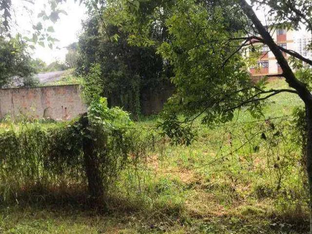 Terreno venda em Região Geográfica Imediata de Curitiba, Região Metropolitana de Curitiba