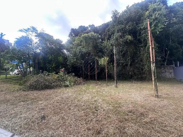 Terreno venda em Região Geográfica Imediata de Curitiba, Região Metropolitana de Curitiba