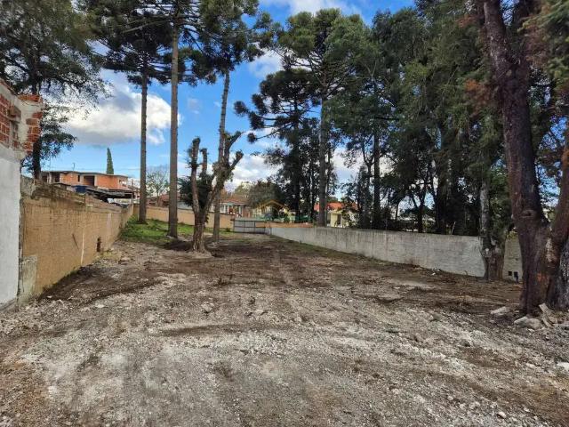 Terreno venda em Região Geográfica Imediata de Curitiba, Região Metropolitana de Curitiba