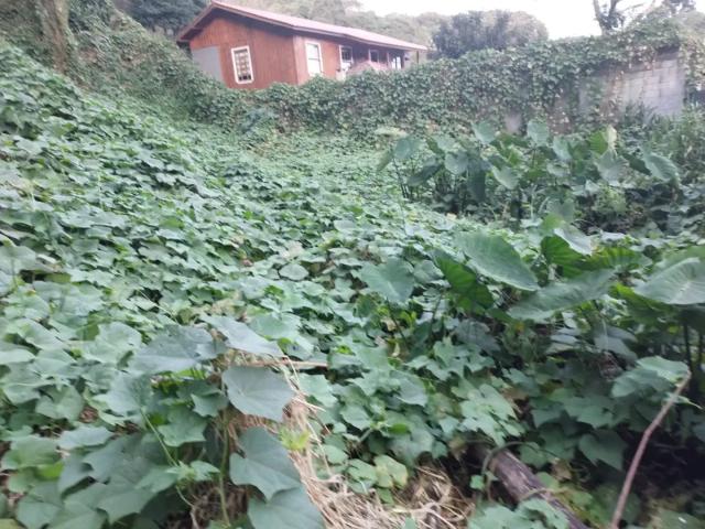 Terreno venda em Região Geográfica Imediata de Curitiba, Região Metropolitana de Curitiba