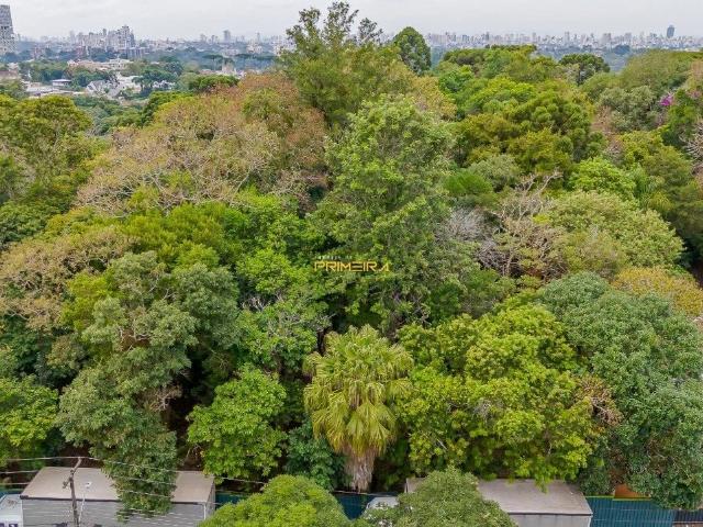 Terreno venda em Campo Comprido, Curitiba