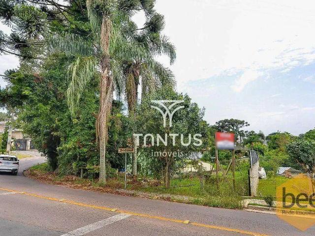 Terreno venda em Região Geográfica Imediata de Curitiba, Região Metropolitana de Curitiba