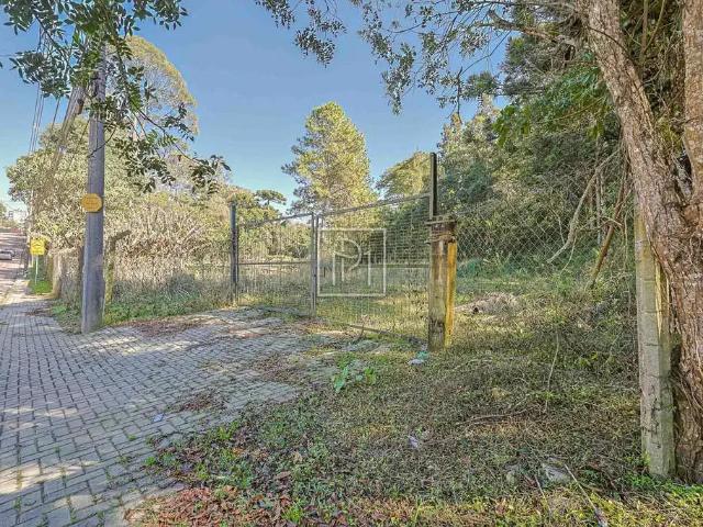 Terreno venda em Região Geográfica Imediata de Curitiba, Região Metropolitana de Curitiba