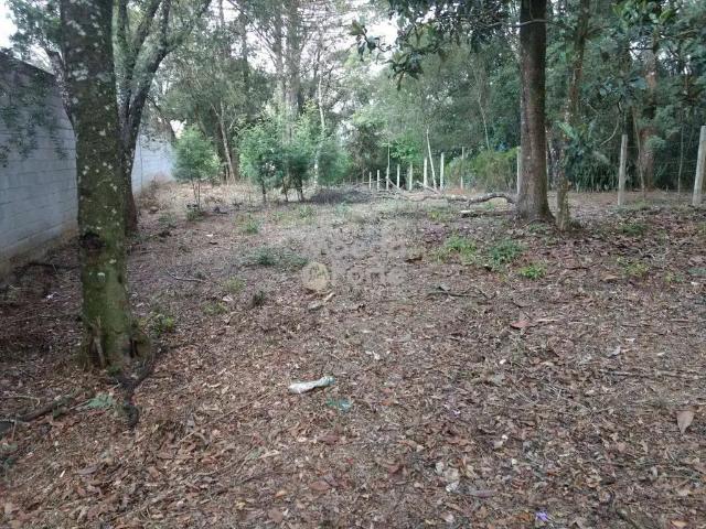 Terreno venda em Região Geográfica Imediata de Curitiba, Região Metropolitana de Curitiba
