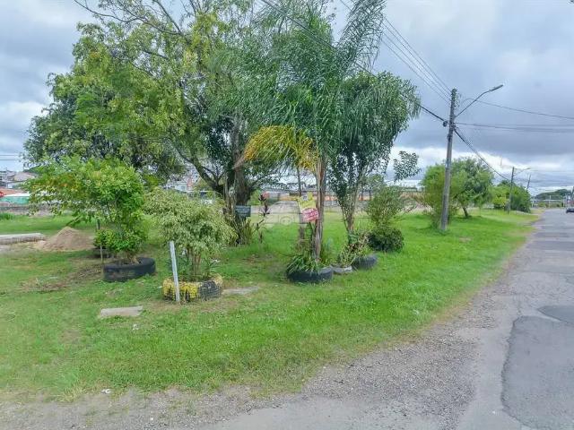 Terreno venda em Região Geográfica Imediata de Curitiba, Região Metropolitana de Curitiba
