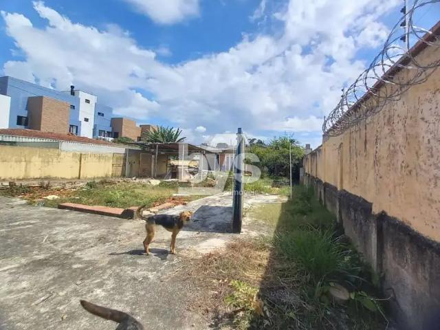 Terreno venda em Região Geográfica Imediata de Curitiba, Região Metropolitana de Curitiba