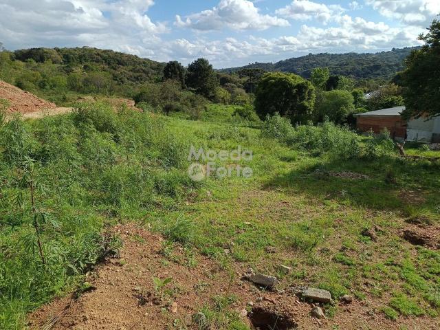 Terreno venda em Curitiba, Região Geográfica Intermediária de Curitiba