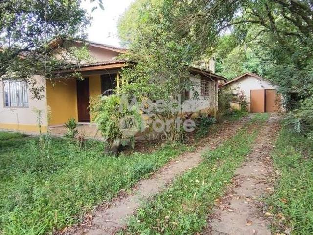Terreno venda em Região Geográfica Imediata de Curitiba, Região Metropolitana de Curitiba